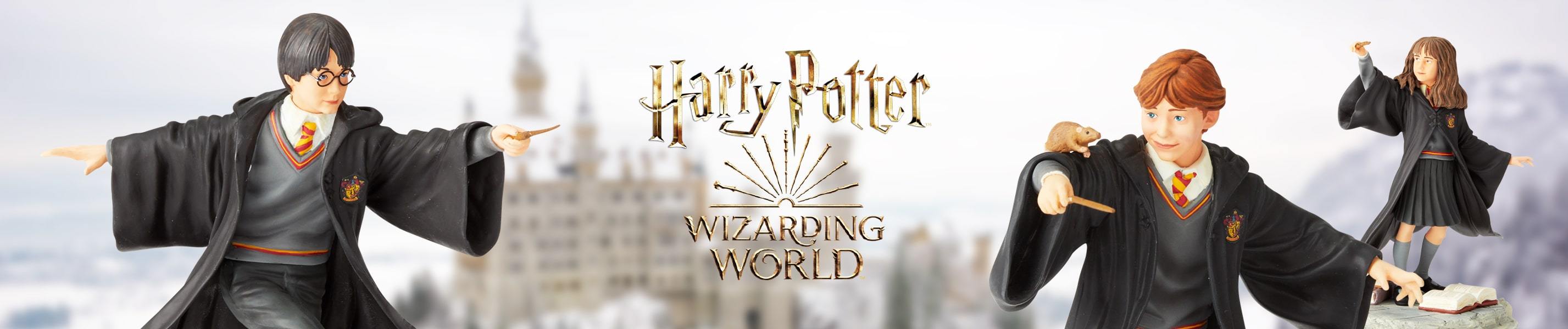 Grand Gobelet Harry Potter Wizarding World pour l'anniversaire de votre  enfant - Annikids