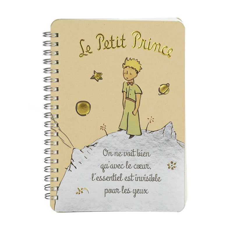 Carnet Nuit Étoilée - Le Petit Prince