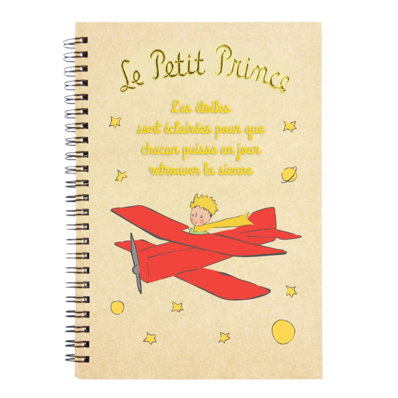 Carnet Avion - Le Petit Prince