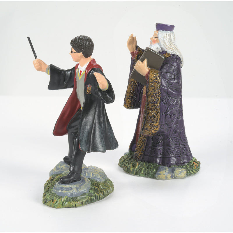 Assortiment de 2 figurines Harry et Dumbledore - Harry Potter village