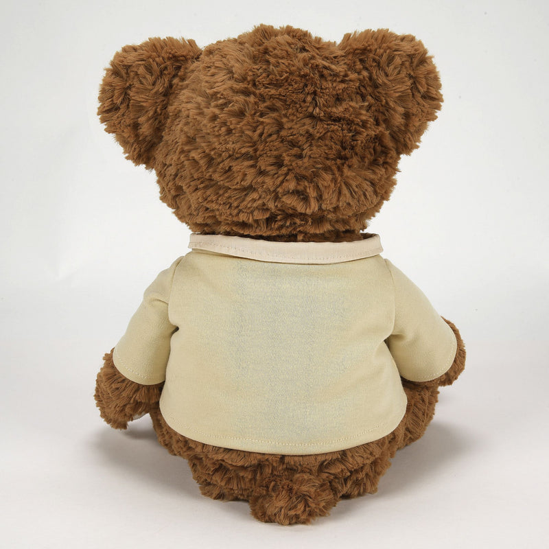 Peluche Ours 45eme Anniversaire -  Boyds Bears