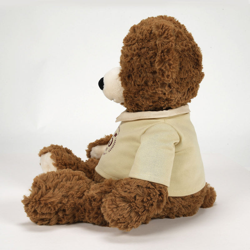 Peluche Ours 45eme Anniversaire -  Boyds Bears