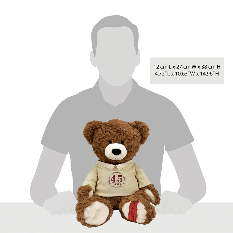 Peluche Ours 45eme Anniversaire -  Boyds Bears