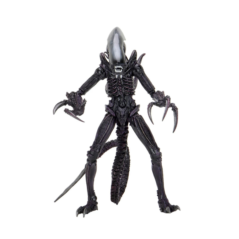 ALIEN VS PREDATOR – 7” SCALE ACTION FIGURE – ALIEN RAZOR CLAUS (MOVIE DECO)