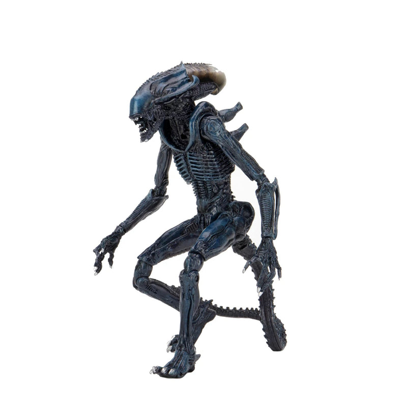 ALIEN VS PREDATOR – 7” SCALE ACTION FIGURE – ALIEN ARACHNOID (MOVIE DECO)